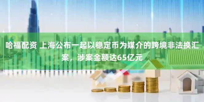 哈福配资 上海公布一起以稳定币为媒介的跨境非法换汇案，涉案金额达65亿元