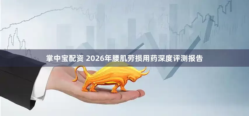 掌中宝配资 2026年腰肌劳损用药深度评测报告